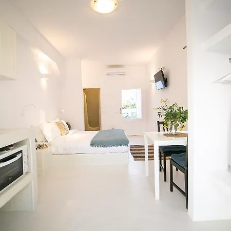 酒店 Apanomeria Boutique 伊亚