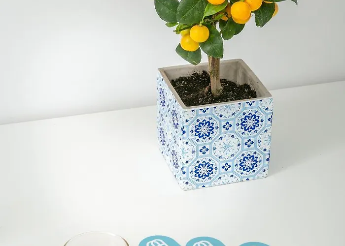 Apanomeria Boutique Oia (Santorini)